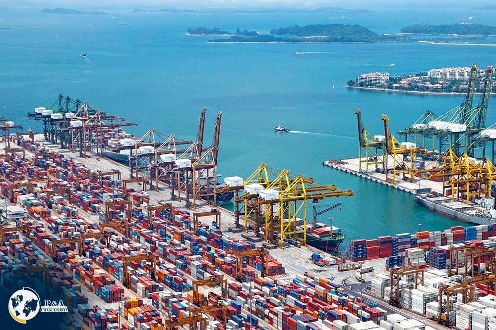 Descripción General del Servicio Comercio Exterior